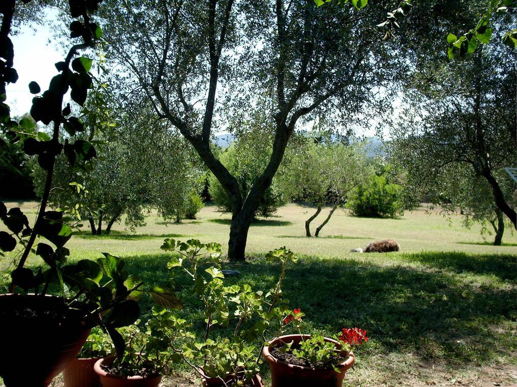 Villa Casa Santina Girasole Habitación foto